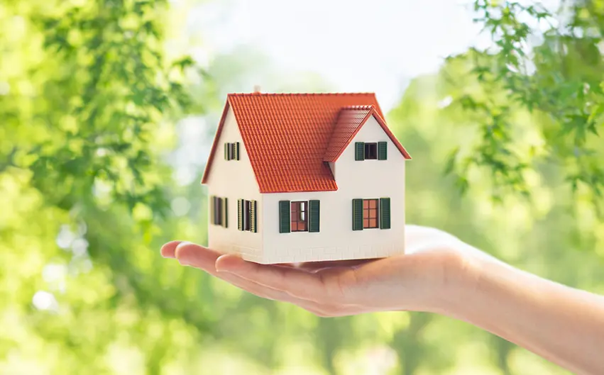 Eco-friendly home interior